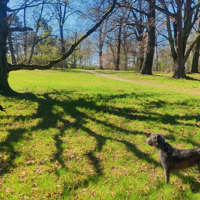 Прогнозы погоды с чудесными фотографиями, сделанными Karsten Wo