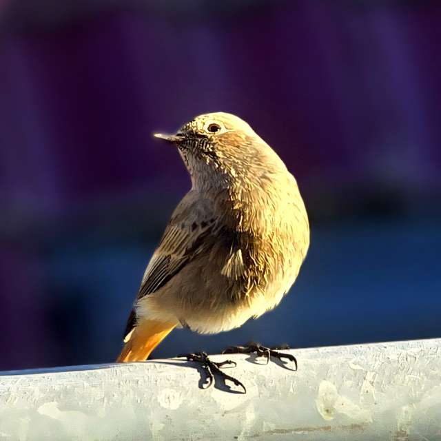 Jesen. Wettervorhersagen mit schönen Fotos von Hela Fotos Bayern