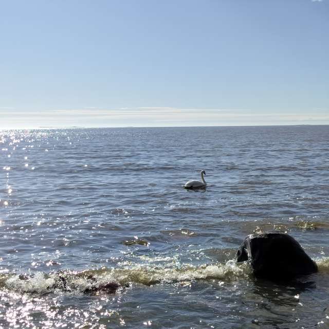 Weather forecasts with beautiful photos by Hallidad