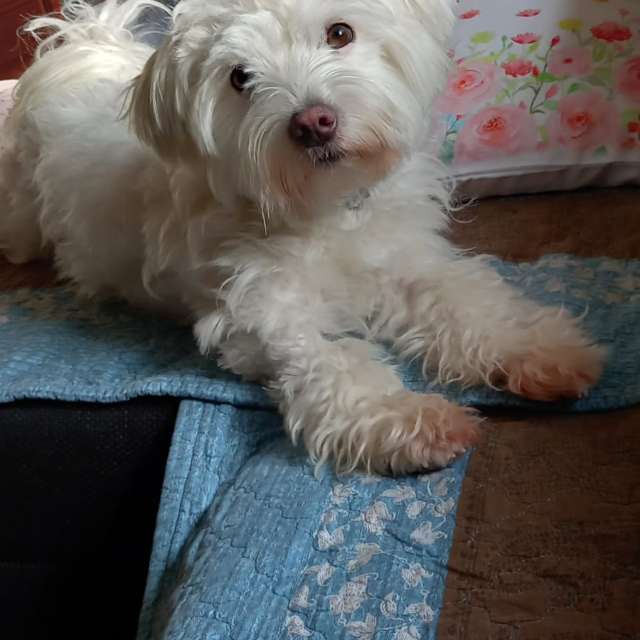 Прогнозы погоды с чудесными фотографиями, сделанными aida-khaldi