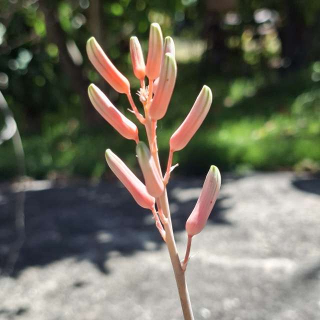 Orange. Weather forecasts with beautiful photos by Wen-ya Huang Photos in Kaohsiung City