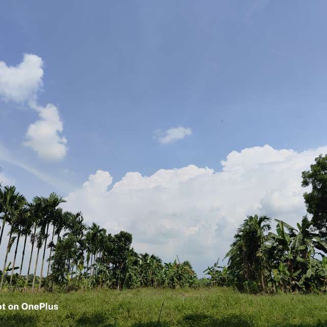 Standing. Weather forecasts with beautiful photos by Debasish1234 Photos in World