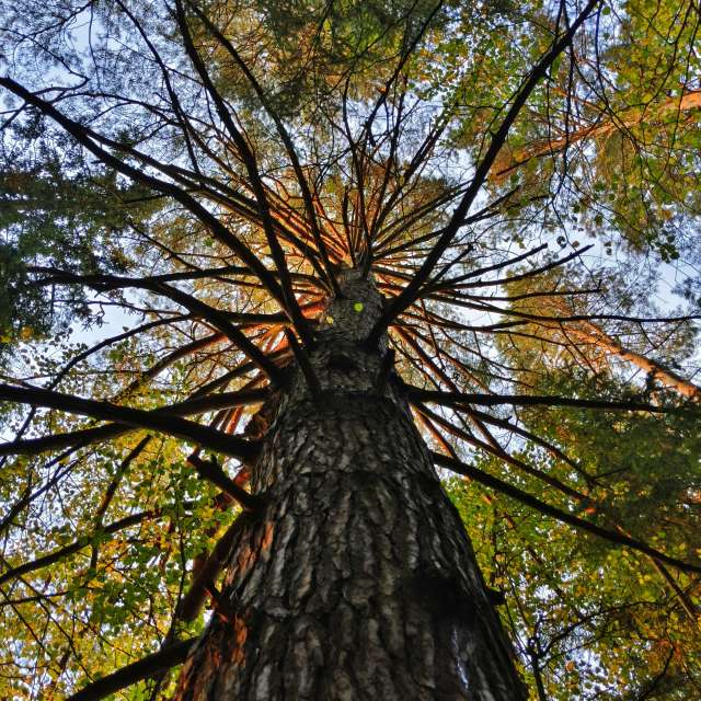 世界的天气照片. 天气预报，带Aleksei精美的照片