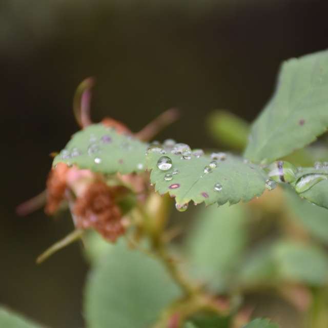 Weather forecasts with beautiful photos by 1stEyeFocused