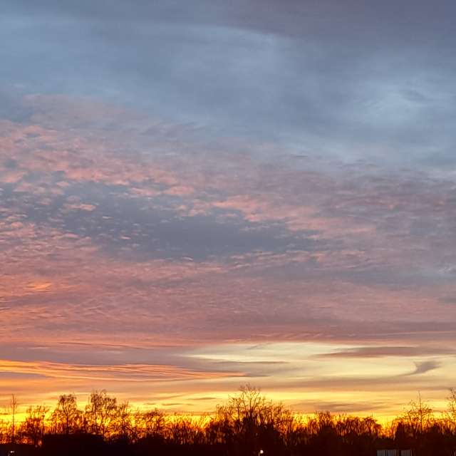 天气预报，带Liv精美的照片