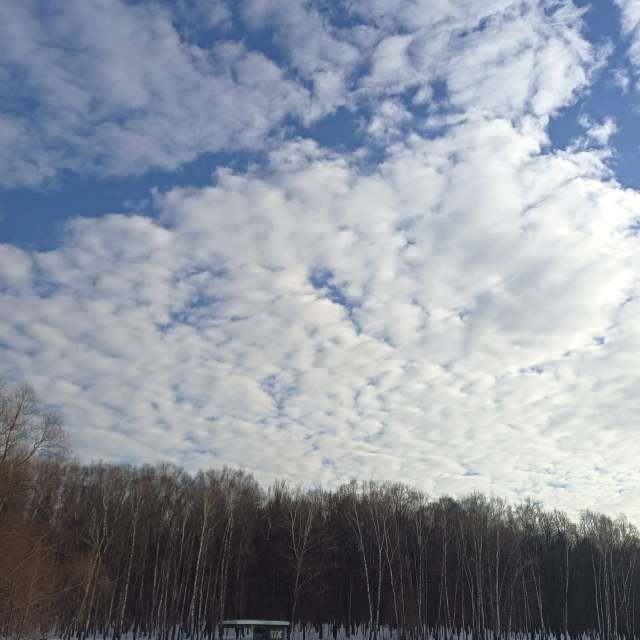 Group. Weather forecasts with beautiful photos by Amanda_and_Valdemar_Che Photos in Izmaylovo District