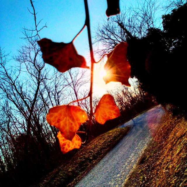 Previsões do tempo com lindas fotos de eilertannunaki