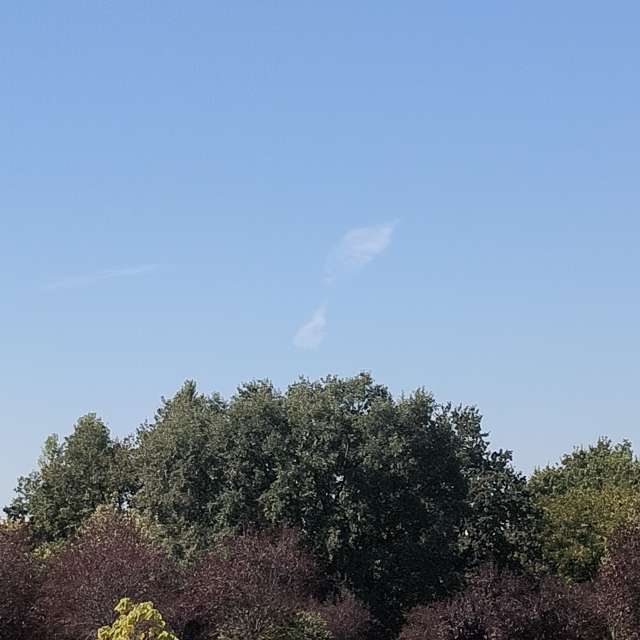 Fotos del Parque. Pronósticos del tiempo con hermosas fotos de YanBog en Bucharest