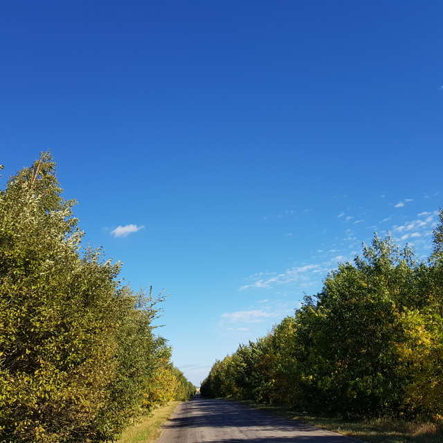 天气预报，带andreyfetisov精美的照片