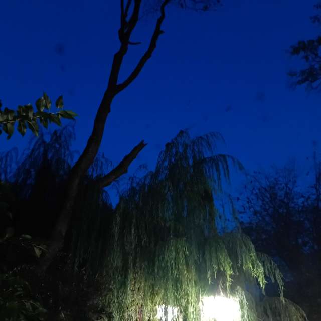 Fotos del Oscuro. Pronósticos del tiempo con hermosas fotos de YanBog en București