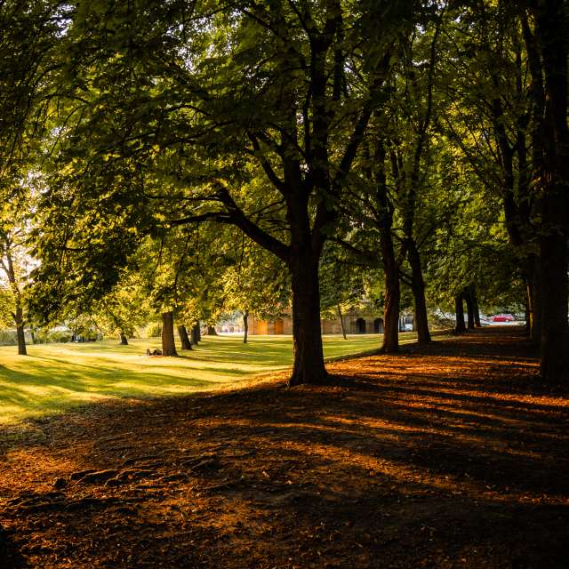 Germany. Weather forecasts with beautiful photos by melissamaples Photos in World