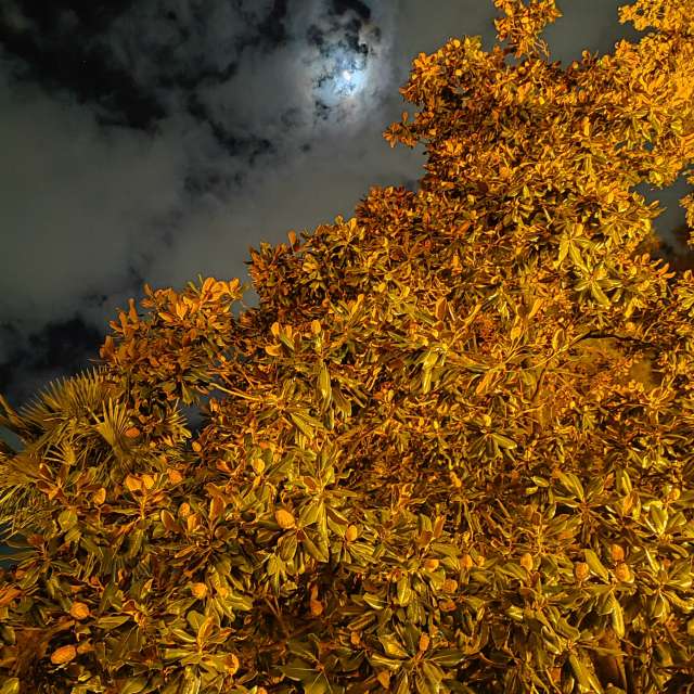 Fotos del Colina. Pronósticos del tiempo con hermosas fotos de Albert_Smelovtsev en Sochi