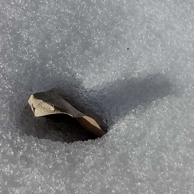 Прогнозы погоды с чудесными фотографиями, сделанными Allisong