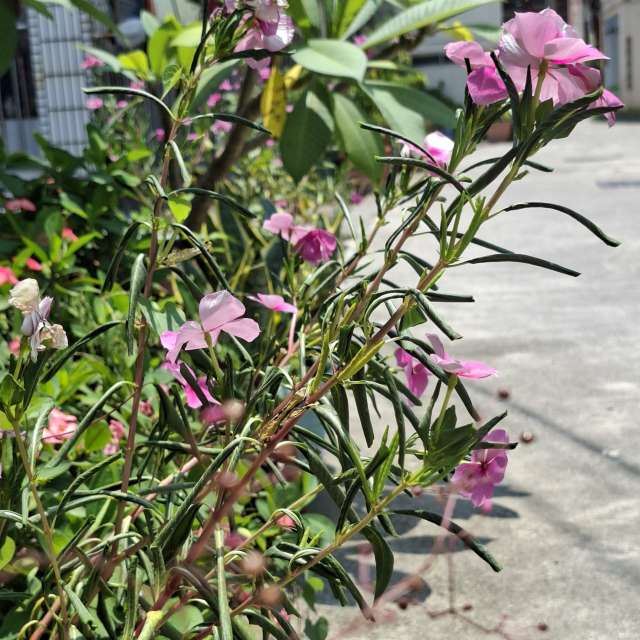 Photos Banc.banc. Prévisions météo avec de superbes photos de Wen-ya Huang de Kaohsiung