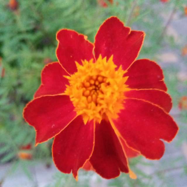 Weather Photos in World. Weather forecasts with beautiful photos by mikhai