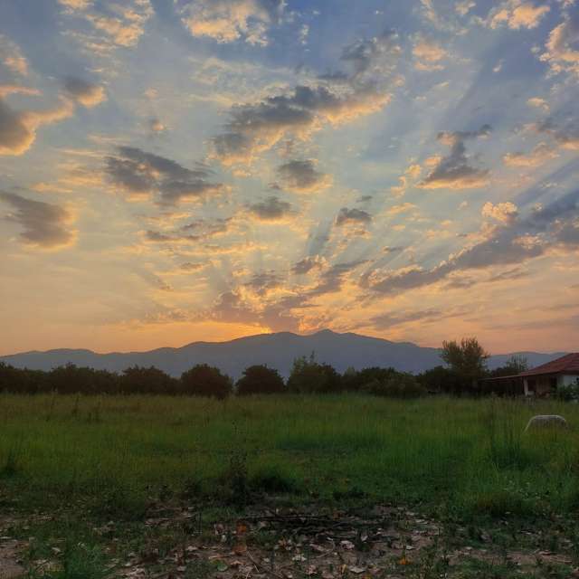 Prévisions météo avec de superbes photos de Papatya