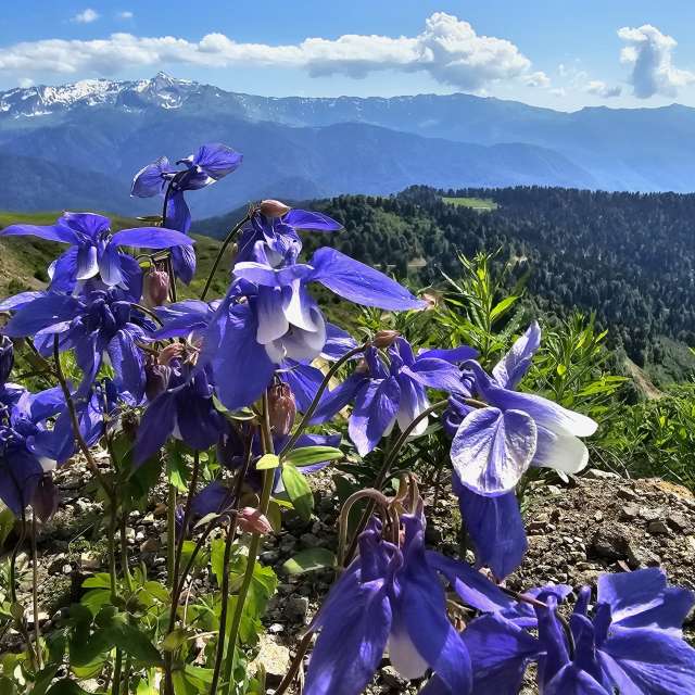 Colorful. Weather forecasts with beautiful photos by Albert_Smelovtsev Photos in Roza Khutor