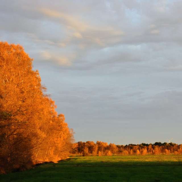 Прогнозы погоды с чудесными фотографиями, сделанными fwerner