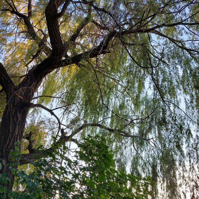 Direction. Weather forecasts with beautiful photos by Iryna Photos in Kharkiv