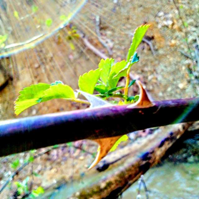Previsões do tempo com lindas fotos de eilertannunaki