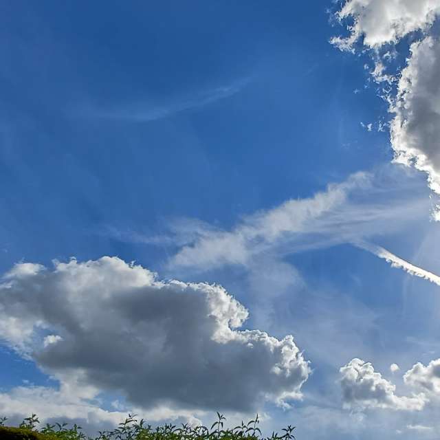 Photos Homme. Prévisions météo avec de superbes photos de Lolli de Maidstone