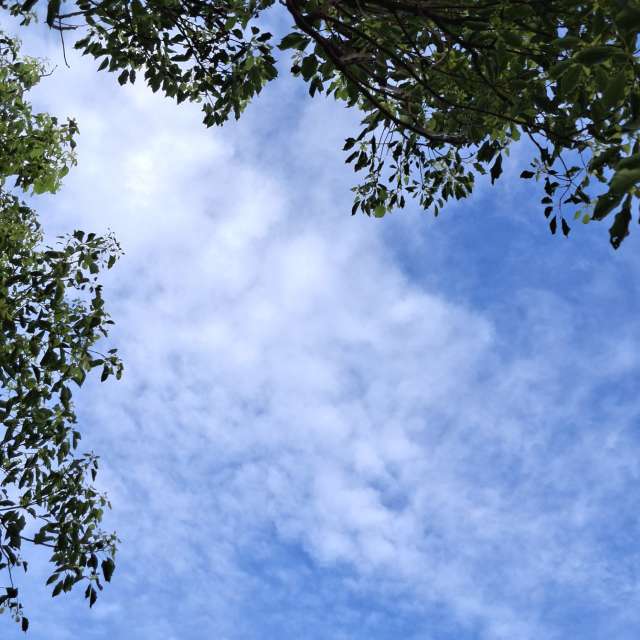 Photos Banc.banc. Prévisions météo avec de superbes photos de Wen-ya Huang de Kaohsiung