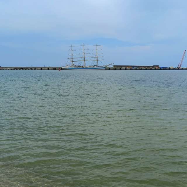 Fotos A lei. Previsões do tempo com lindas fotos de Михаил Бондаренко em Pionerskiy