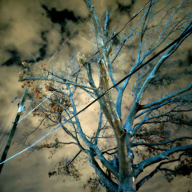 View. Weather forecasts with beautiful photos by jJaycox Photos in World