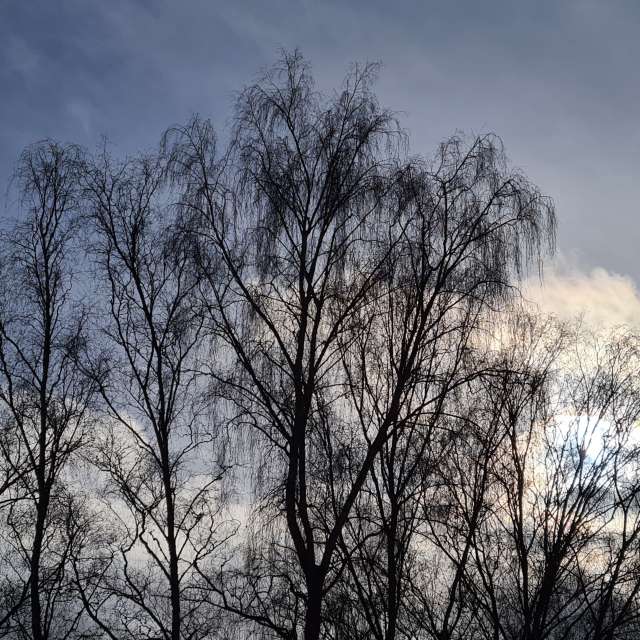 Stor. Værvarsel med vakre bilder av Neonchen Bilder i Sankt Wendel