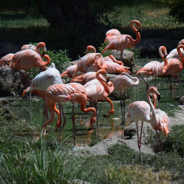 Countryside. Weather forecasts with beautiful photos by Pcm407 Photos in Madrid