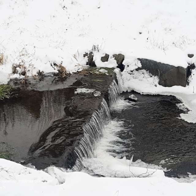 Fotos Clima. Previsões do tempo com lindas fotos de Piškot em Bohunovice