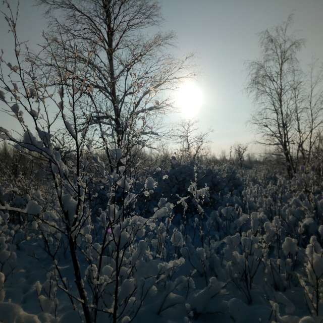 Pronósticos del tiempo con hermosas fotos de Andrey72