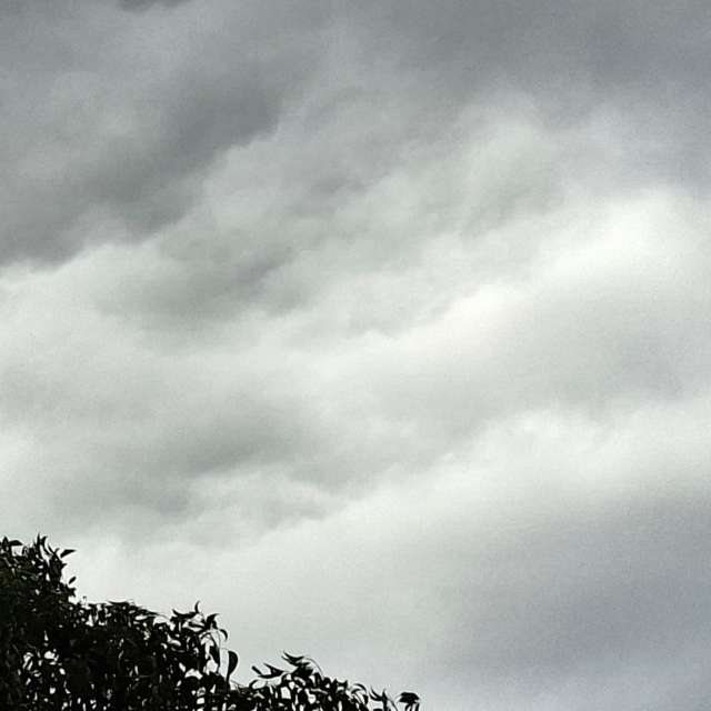 Photos Cerf-volant. Prévisions météo avec de superbes photos de Wen-ya Huang de Kaohsiung