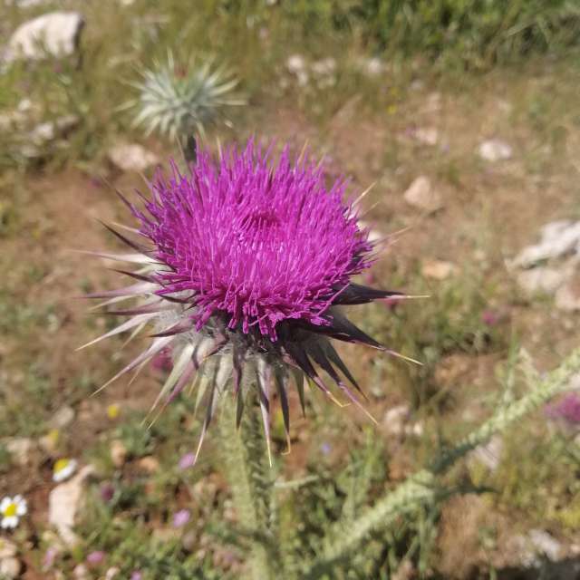 Weather forecasts with beautiful photos by Jess88