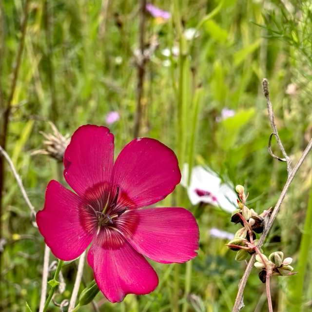 Previsões do tempo com lindas fotos de Igor-65