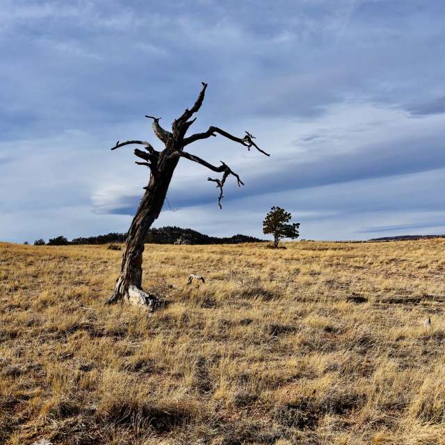 Group. Weather forecasts with beautiful photos by JenzRun Photos in World