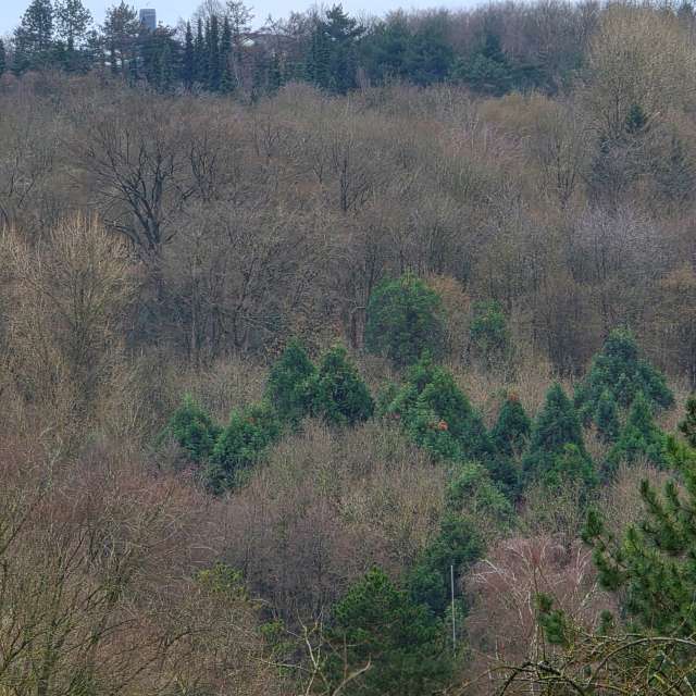 Fotos Elefante. Previsões do tempo com lindas fotos de Seni em Velbert