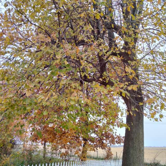 Weather forecasts with beautiful photos by Kate72