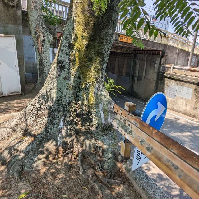 Bereich. Wettervorhersagen mit schönen Fotos von あさのジジ Fotos Okayama