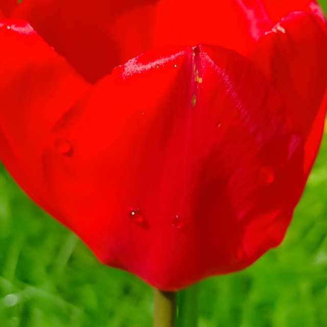 Sign. Weather forecasts with beautiful photos by Федір Photos in Ukraine