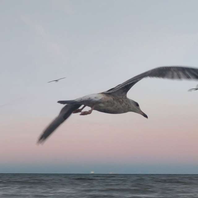 Прогнозы погоды с чудесными фотографиями, сделанными Calendula