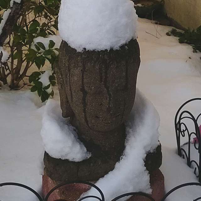 Previsões do tempo com lindas fotos de Clairette