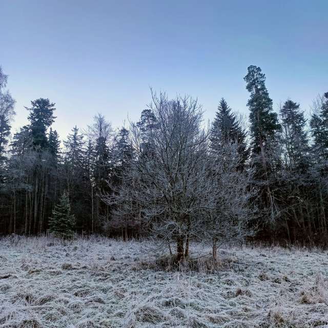 Schmutz. Wettervorhersagen mit schönen Fotos von Kripo Fotos Ladek Zdroj