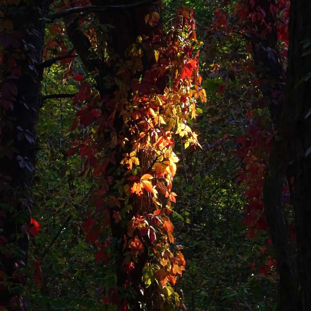 Stop. Weather forecasts with beautiful photos by Михаил Гавриков Photos in Kharkiv