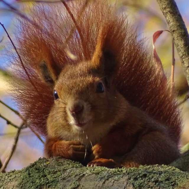 Orange. Weather forecasts with beautiful photos by Михаил Гавриков Photos in Kharkiv