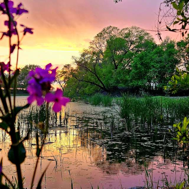 Jd2024の美しい写真による天気予報