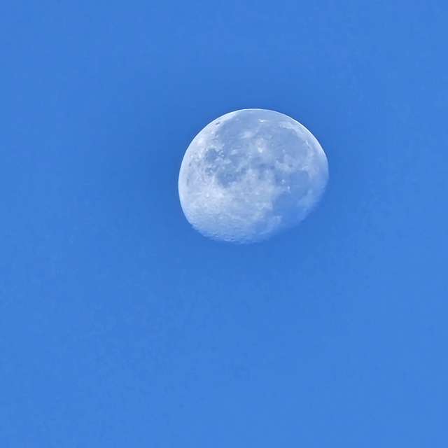 Weather forecasts with beautiful photos by Rosa