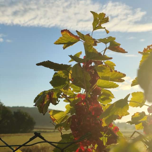 Allersberg的Weather. 天气预报，带Brtd精美的照片照片