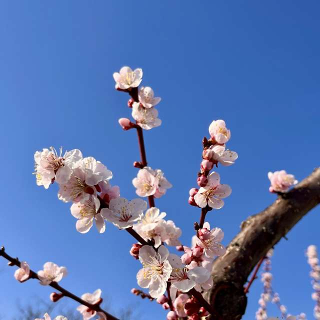 Прогнозы погоды с чудесными фотографиями, сделанными Kasumisou