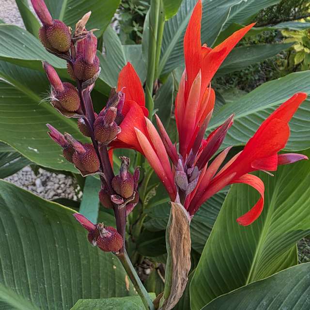 Weather forecasts with beautiful photos by Mircea